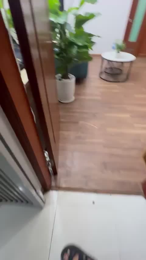 Sổ đỏ - căn chung cư toà CT12A Kim Văn Kim Lũ 53.5m2, 3 tỷ 290 triệu - ảnh 2