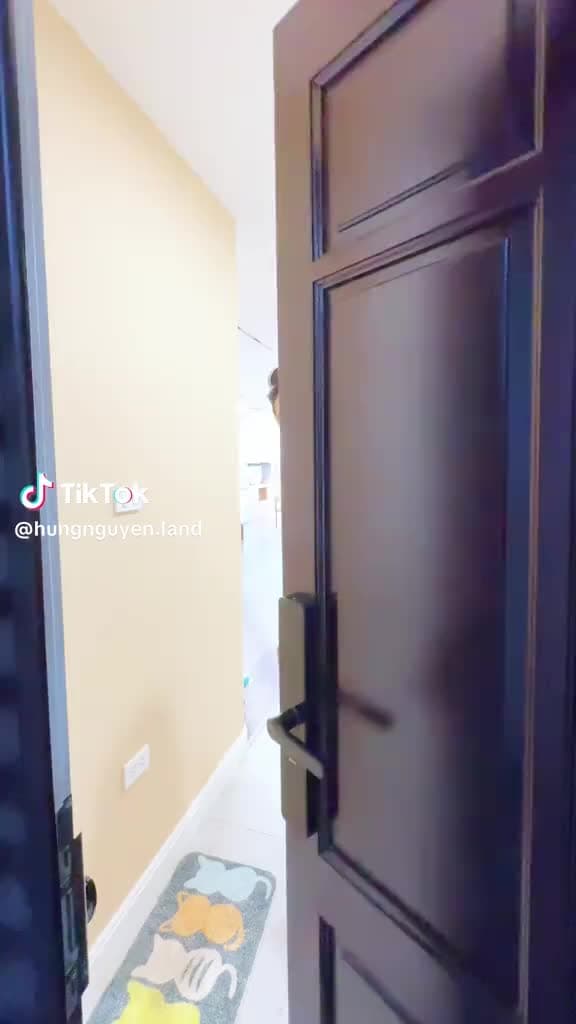 CĂN HỘ CHUNG CƯ HAPULICO - ảnh 2
