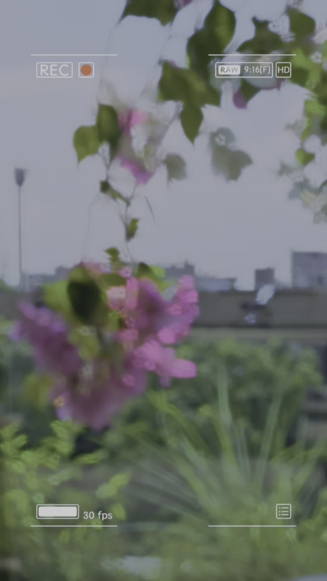 3N 2vs - ảnh 2