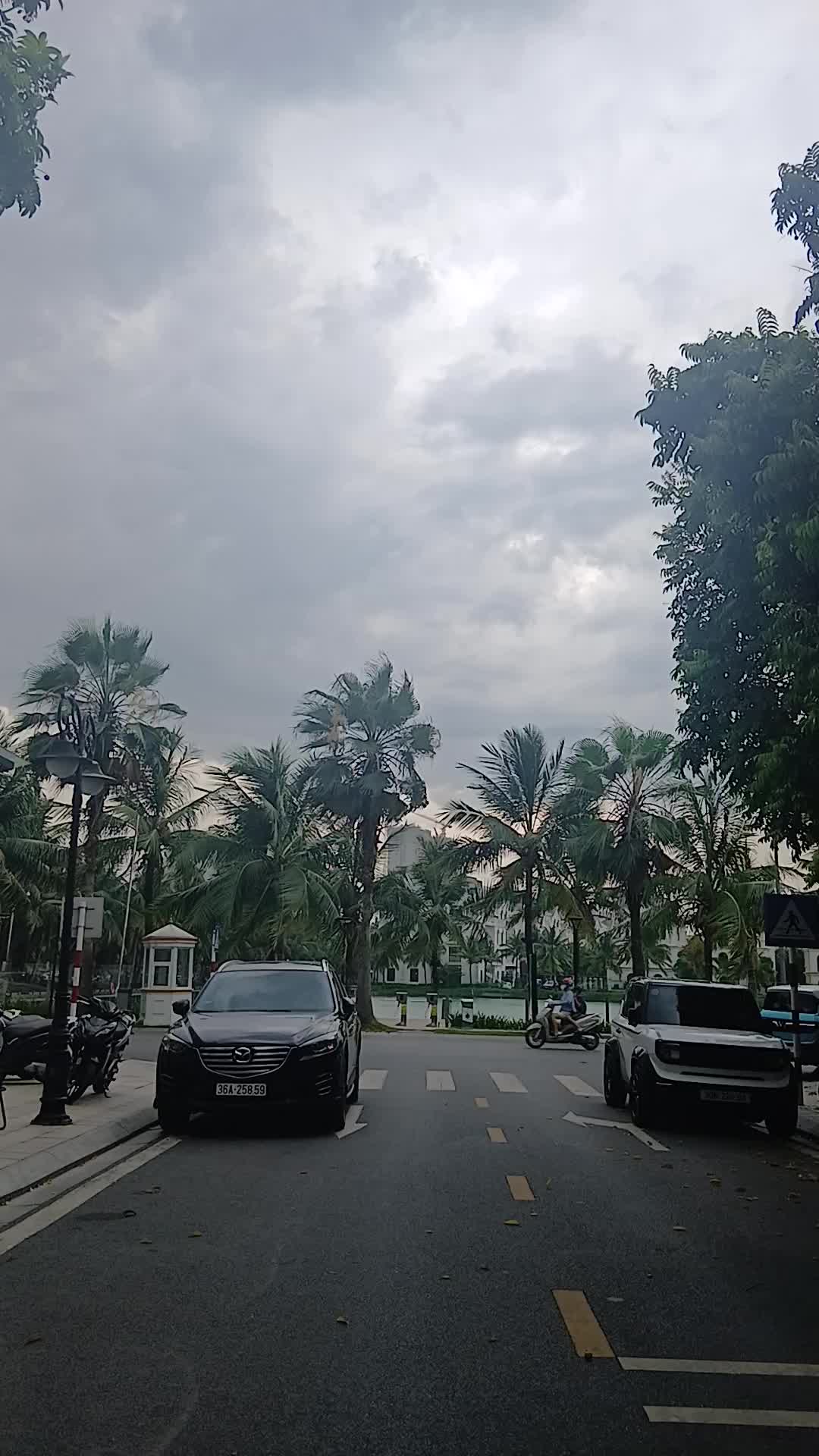 Oceanpark 1 - ảnh 2