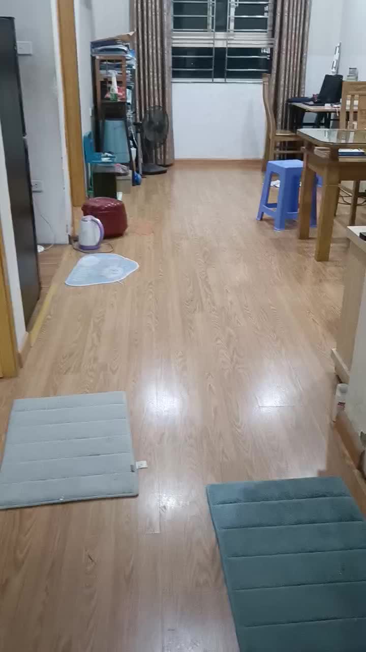 CĂN DUY NHẤT - SỔ ĐỎ CHÍNH CHỦ - ECOHOME 2- ĐÔNG NGẠC - ảnh 2