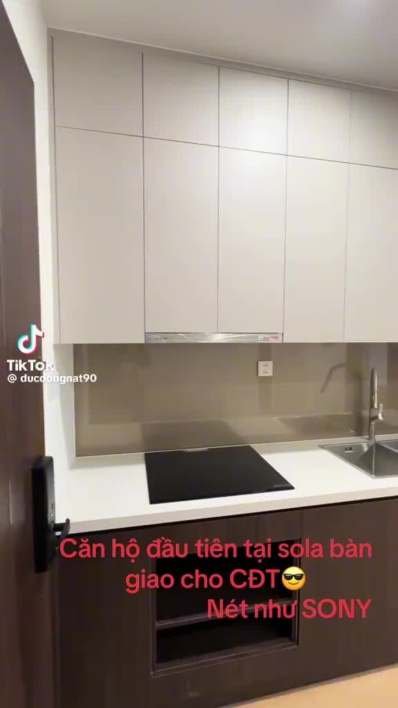 Chủ nhà gửi em bán căn hộ 2 ngủ 64m2 chỉ 4 tỉ 8 tại the solapark vinhomes smart city - ảnh 2