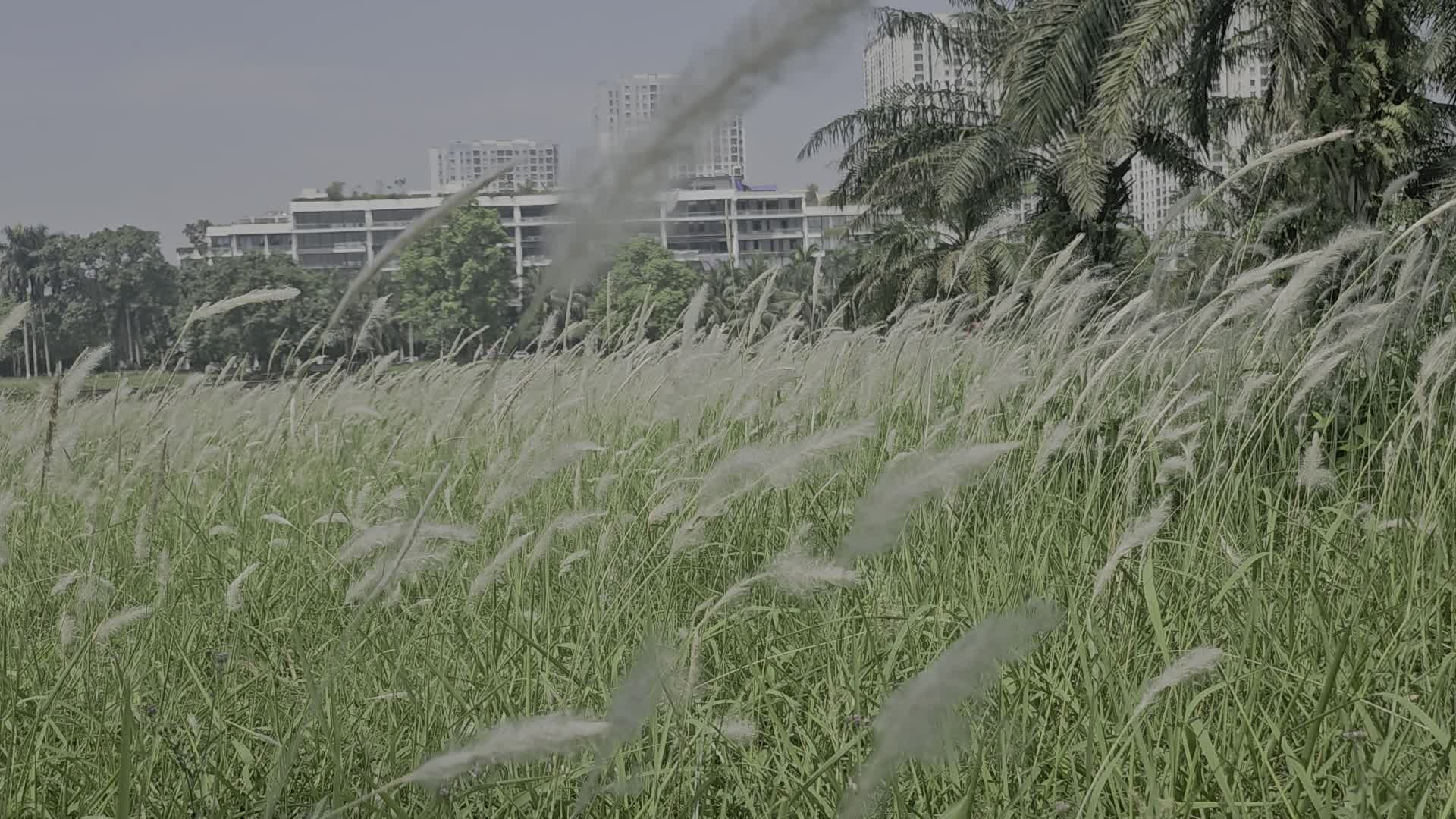 Haven Park - ảnh 2