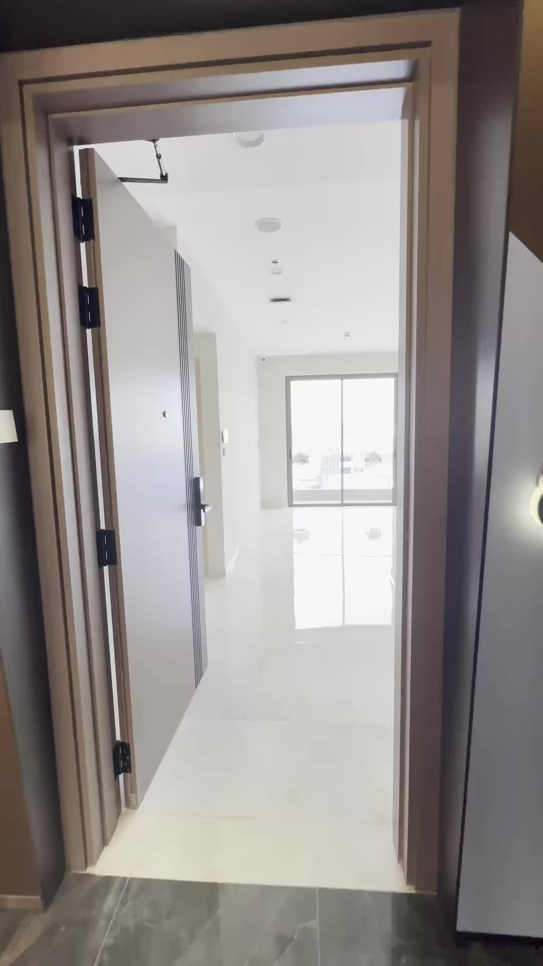 Căn hộ Phú Mỹ Hưng - The Harmonie Bình Dương - ảnh 2