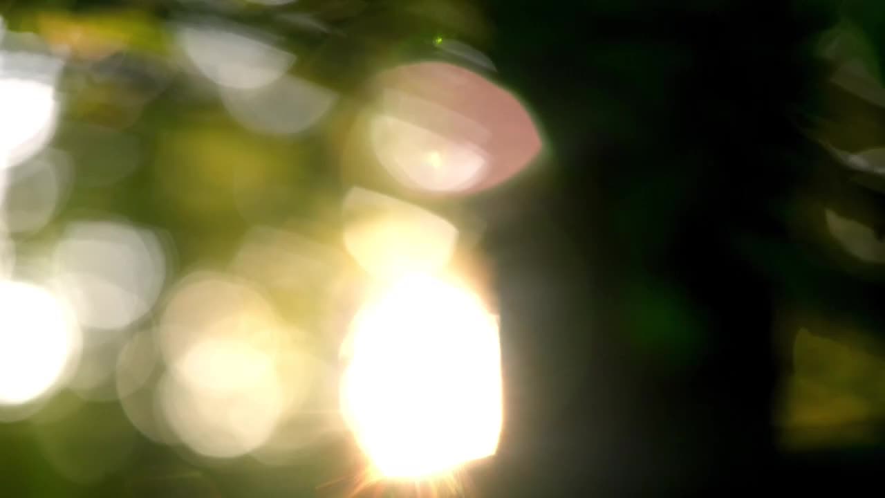 Imperia Ocean City 2PN - ảnh 2